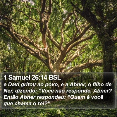 1 Samuel 26:14 BSL Bible Verse Image