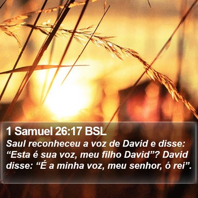 1 Samuel 26:17 BSL Bible Verse Image