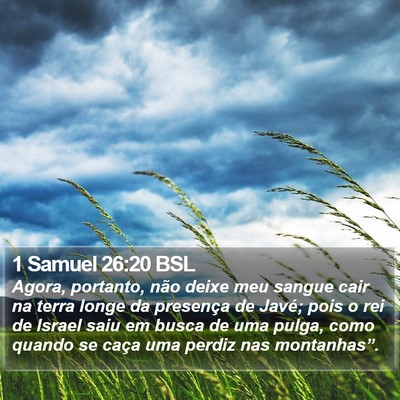 1 Samuel 26:20 BSL Bible Verse Image