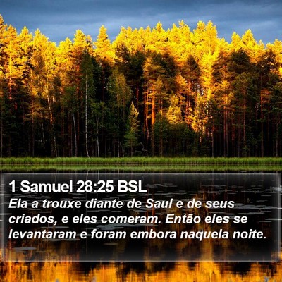 1 Samuel 28:25 BSL Bible Verse Image