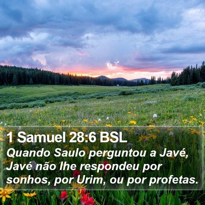 1 Samuel 28:6 BSL Bible Verse Image