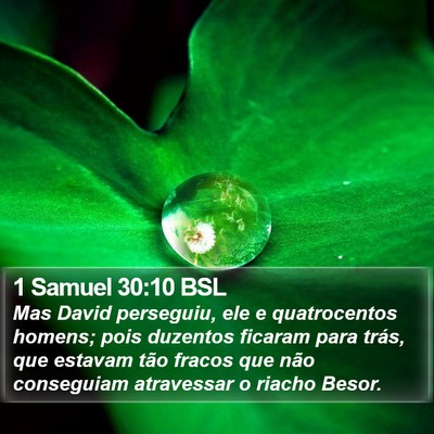 1 Samuel 30:10 BSL Bible Verse Image