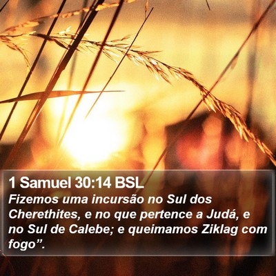 1 Samuel 30:14 BSL Bible Verse Image