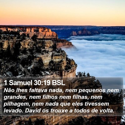 1 Samuel 30:19 BSL Bible Verse Image