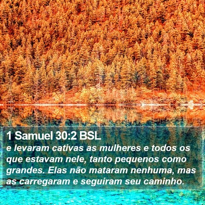 1 Samuel 30:2 BSL Bible Verse Image