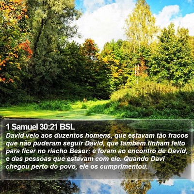 1 Samuel 30:21 BSL Bible Verse Image