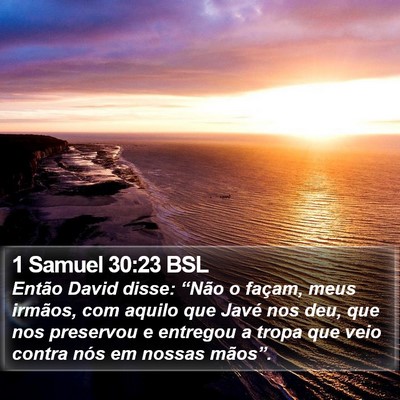 1 Samuel 30:23 BSL Bible Verse Image