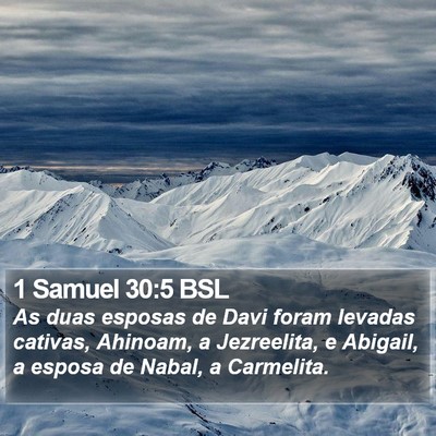 1 Samuel 30:5 BSL Bible Verse Image