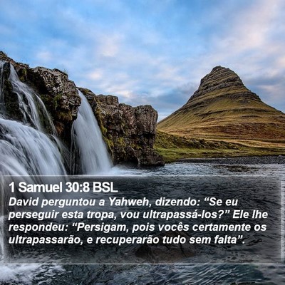 1 Samuel 30:8 BSL Bible Verse Image