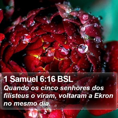 1 Samuel 6:16 BSL Bible Verse Image