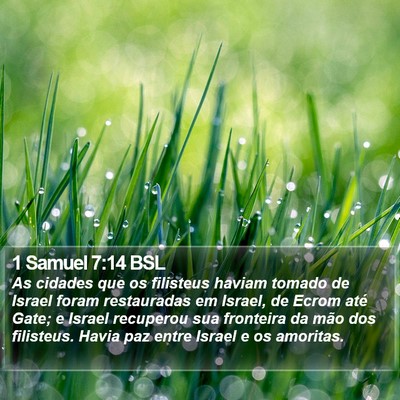 1 Samuel 7:14 BSL Bible Verse Image