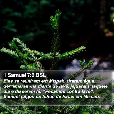 1 Samuel 7:6 BSL Bible Verse Image