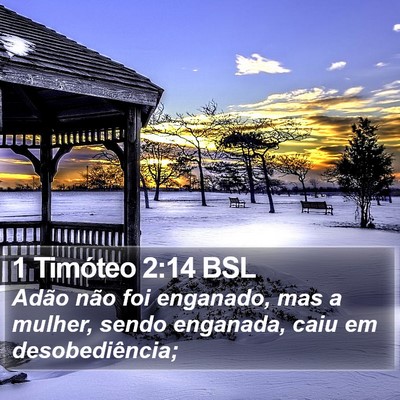 1 Timóteo 2:14 BSL Bible Verse Image