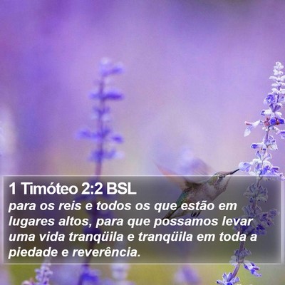 1 Timóteo 2:2 BSL Bible Verse Image