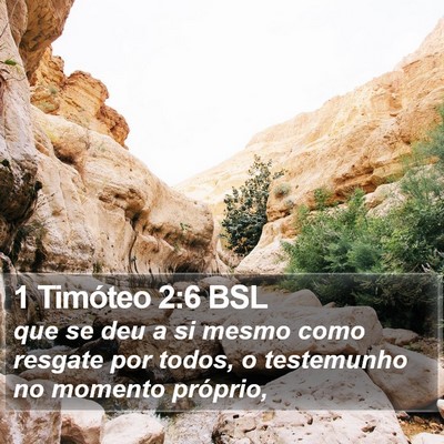 1 Timóteo 2:6 BSL Bible Verse Image