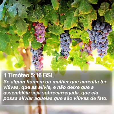 1 Timóteo 5:16 BSL Bible Verse Image