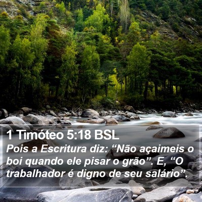 1 Timóteo 5:18 BSL Bible Verse Image