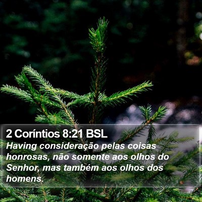 2 Coríntios 8:21 BSL Bible Verse Image