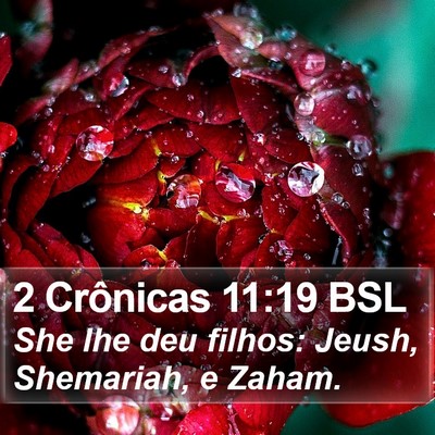2 Crônicas 11:19 BSL Bible Verse Image