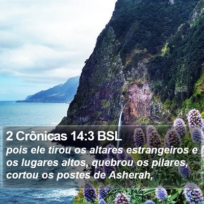 2 Crônicas 14:3 BSL Bible Verse Image