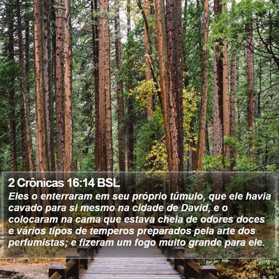 2 Crônicas 16:14 BSL Bible Verse Image