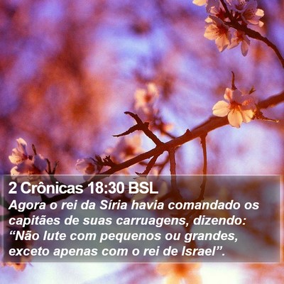 2 Crônicas 18:30 BSL Bible Verse Image