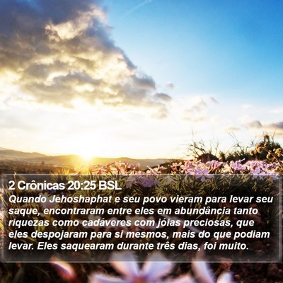 2 Crônicas 20:25 BSL Bible Verse Image