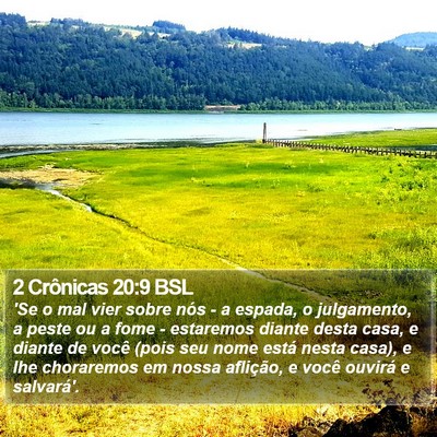 2 Crônicas 20:9 BSL Bible Verse Image