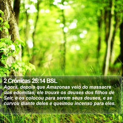 2 Crônicas 25:14 BSL Bible Verse Image