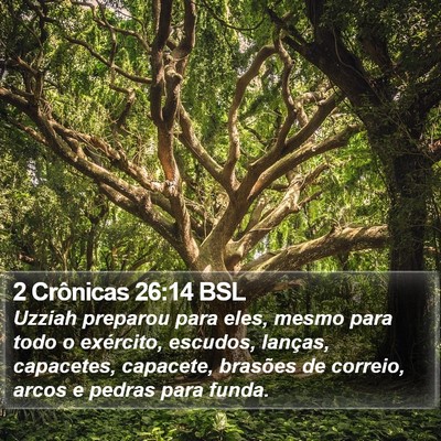 2 Crônicas 26:14 BSL Bible Verse Image