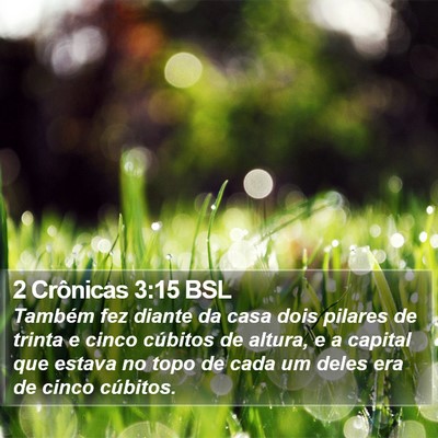 2 Crônicas 3:15 BSL Bible Verse Image