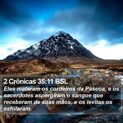 2 Crônicas 35:11 BSL Bible Verse Image