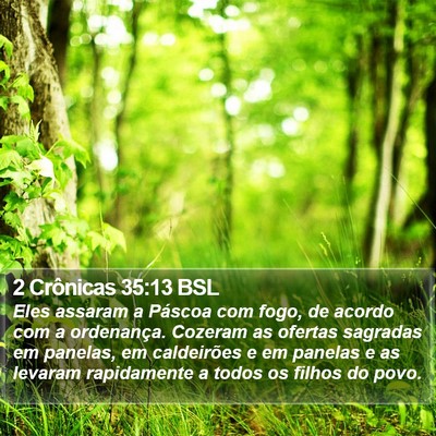 2 Crônicas 35:13 BSL Bible Verse Image