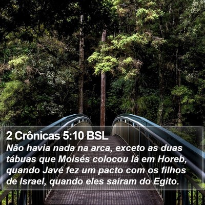 2 Crônicas 5:10 BSL Bible Verse Image