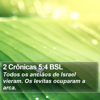 2 Crônicas 5:4 BSL Bible Verse Image