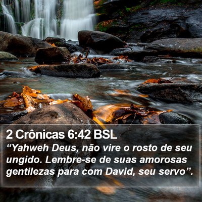 2 Crônicas 6:42 BSL Bible Verse Image