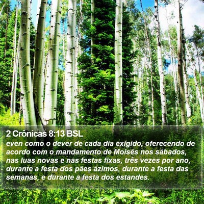2 Crônicas 8:13 BSL Bible Verse Image