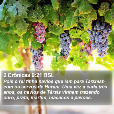 2 Crônicas 9:21 BSL Bible Verse Image