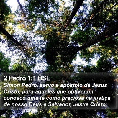 2 Pedro 1:1 BSL Bible Verse Image
