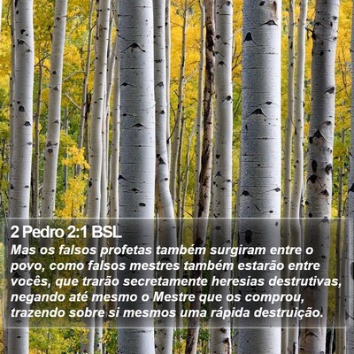 2 Pedro 2:1 BSL Bible Verse Image