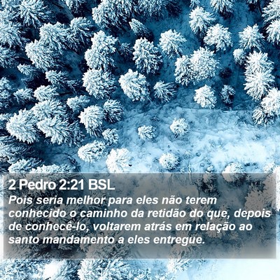 2 Pedro 2:21 BSL Bible Verse Image