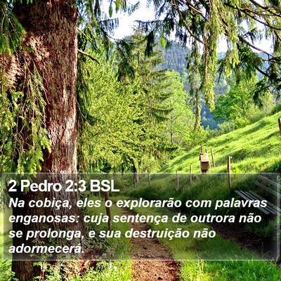 2 Pedro 2:3 BSL Bible Verse Image