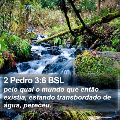 2 Pedro 3:6 BSL Bible Verse Image