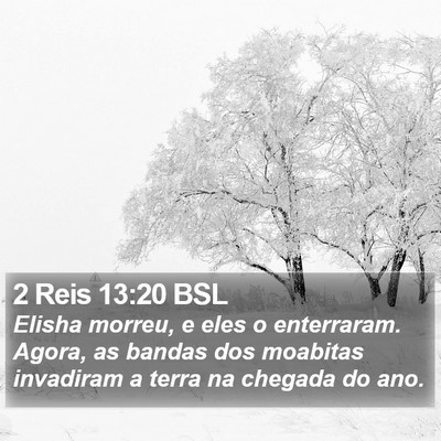 2 Reis 13:20 BSL Bible Verse Image