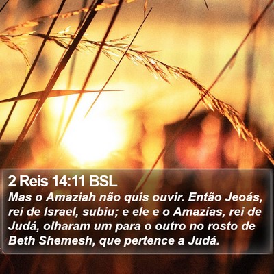 2 Reis 14:11 BSL Bible Verse Image