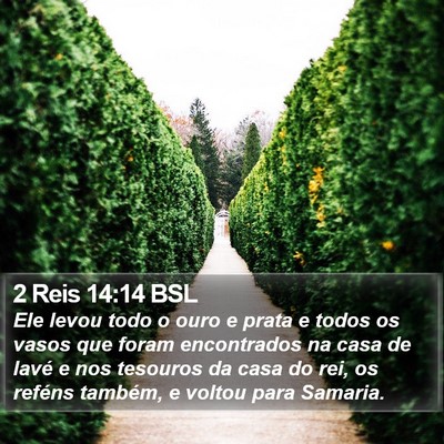 2 Reis 14:14 BSL Bible Verse Image