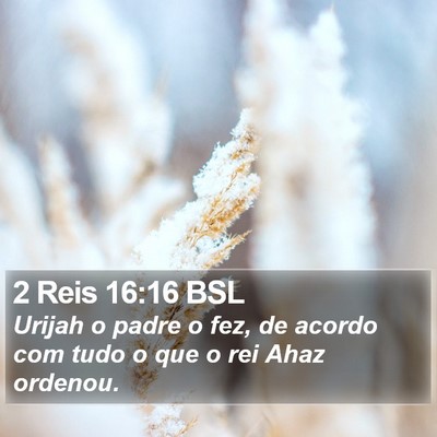 2 Reis 16:16 BSL Bible Verse Image