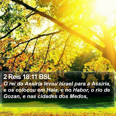 2 Reis 18:11 BSL Bible Verse Image