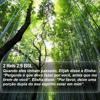 2 Reis 2:9 BSL Bible Verse Image