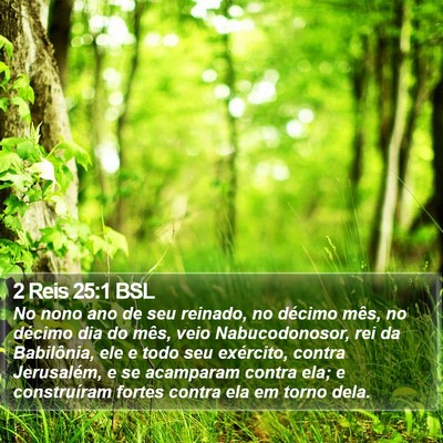 2 Reis 25:1 BSL Bible Verse Image